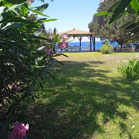 Genari Beach Apartments Levendokhórion Dış mekan fotoğraf