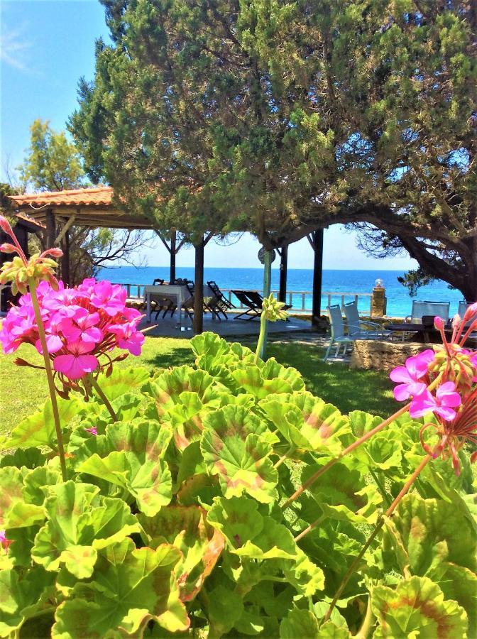 Genari Beach Apartments Levendokhórion Dış mekan fotoğraf