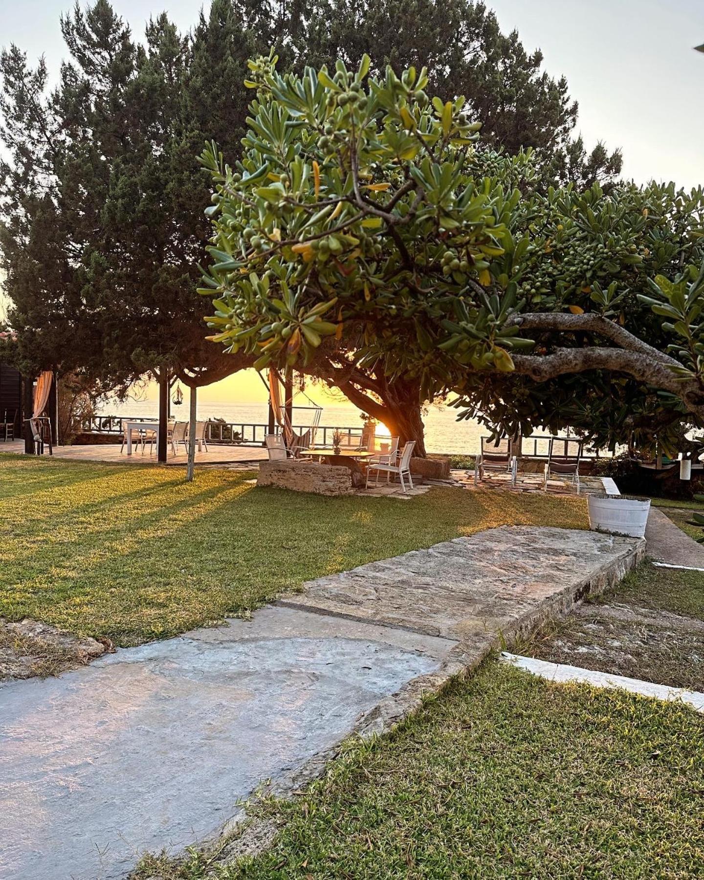 Genari Beach Apartments Levendokhórion Dış mekan fotoğraf