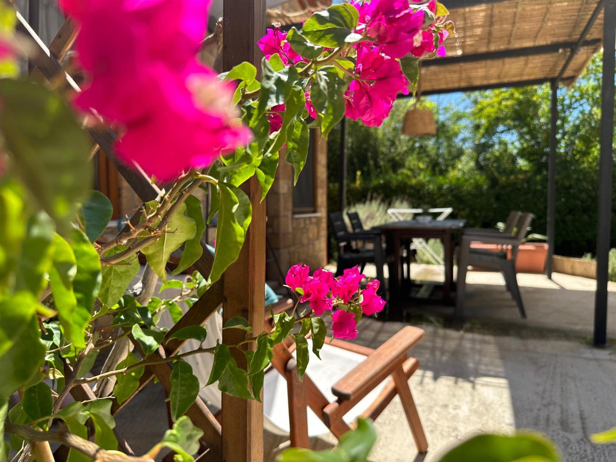 Genari Beach Apartments Levendokhórion Dış mekan fotoğraf