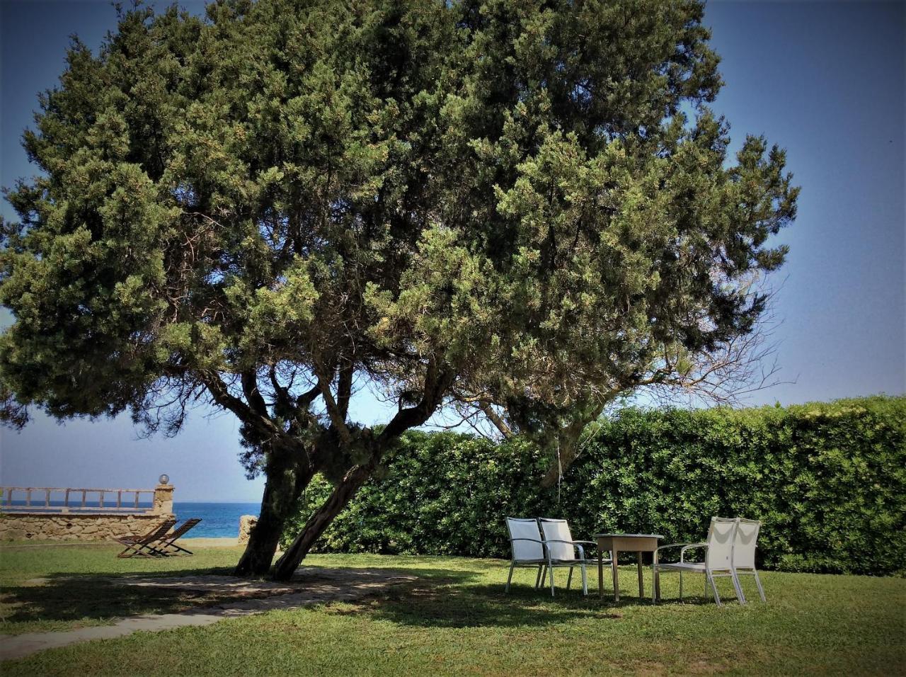 Genari Beach Apartments Levendokhórion Dış mekan fotoğraf
